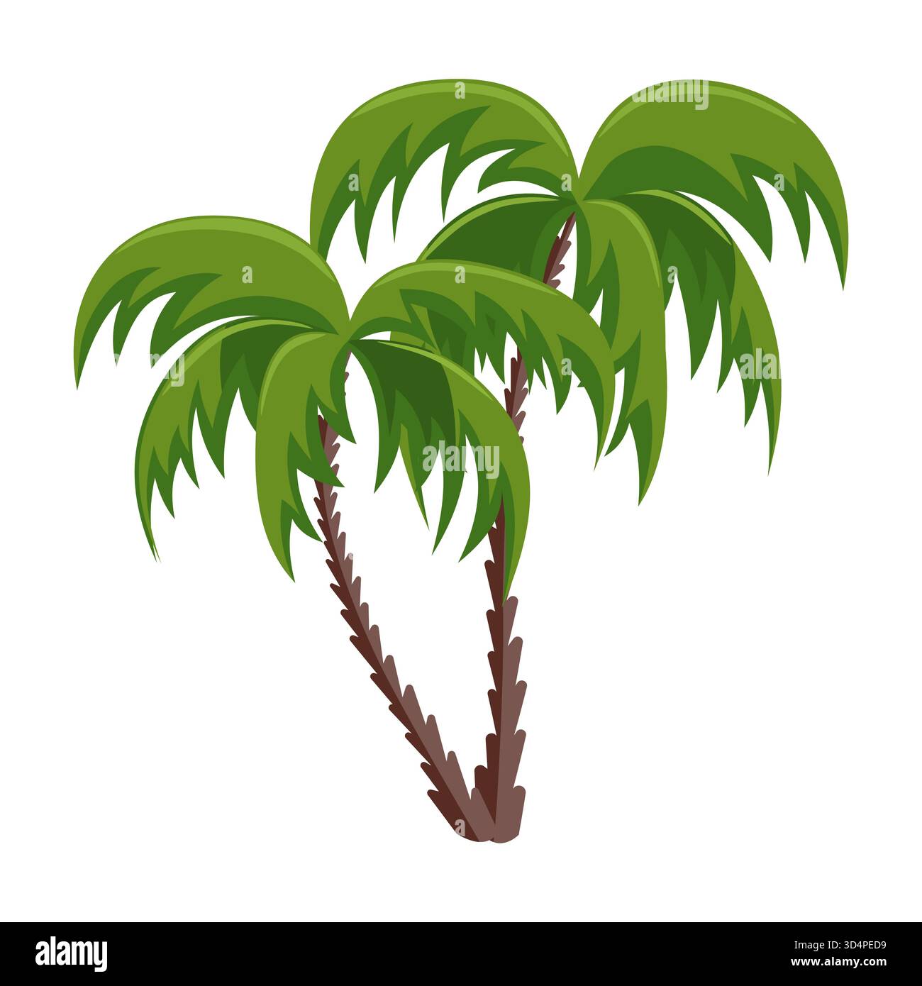 Tropische Palmen mit grünen Blättern und braunen Stämmen auf weißem Hintergrund. Immergrüne exotische Pflanzen. Für Sommerurlaub am Strand Design .editierbarer Vektor Stock Vektor