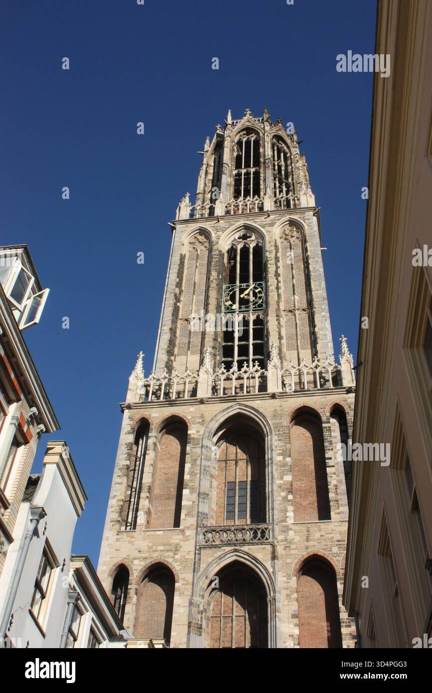 Die Domtoren im Zentrum von Utrecht, Niederlande Stockfoto