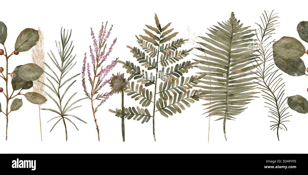 Botanische Blätter und Farnzweige in Aquarellfarben auf weißem Hintergrund, zarte Eukalyptus- und Palmwedeln in gedämpftem, handgezeichnetem Aquarell, isolierter horizontaler nahtloser Rand Stockfoto