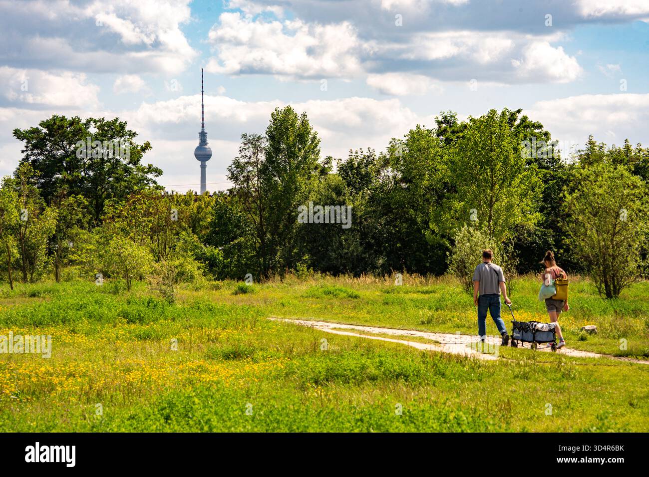 Berlin, Deutschland – Paar mit Bollerwagen in einer grünen Wiese in Pankow mit Blick auf den Fernsehturm Stockfoto