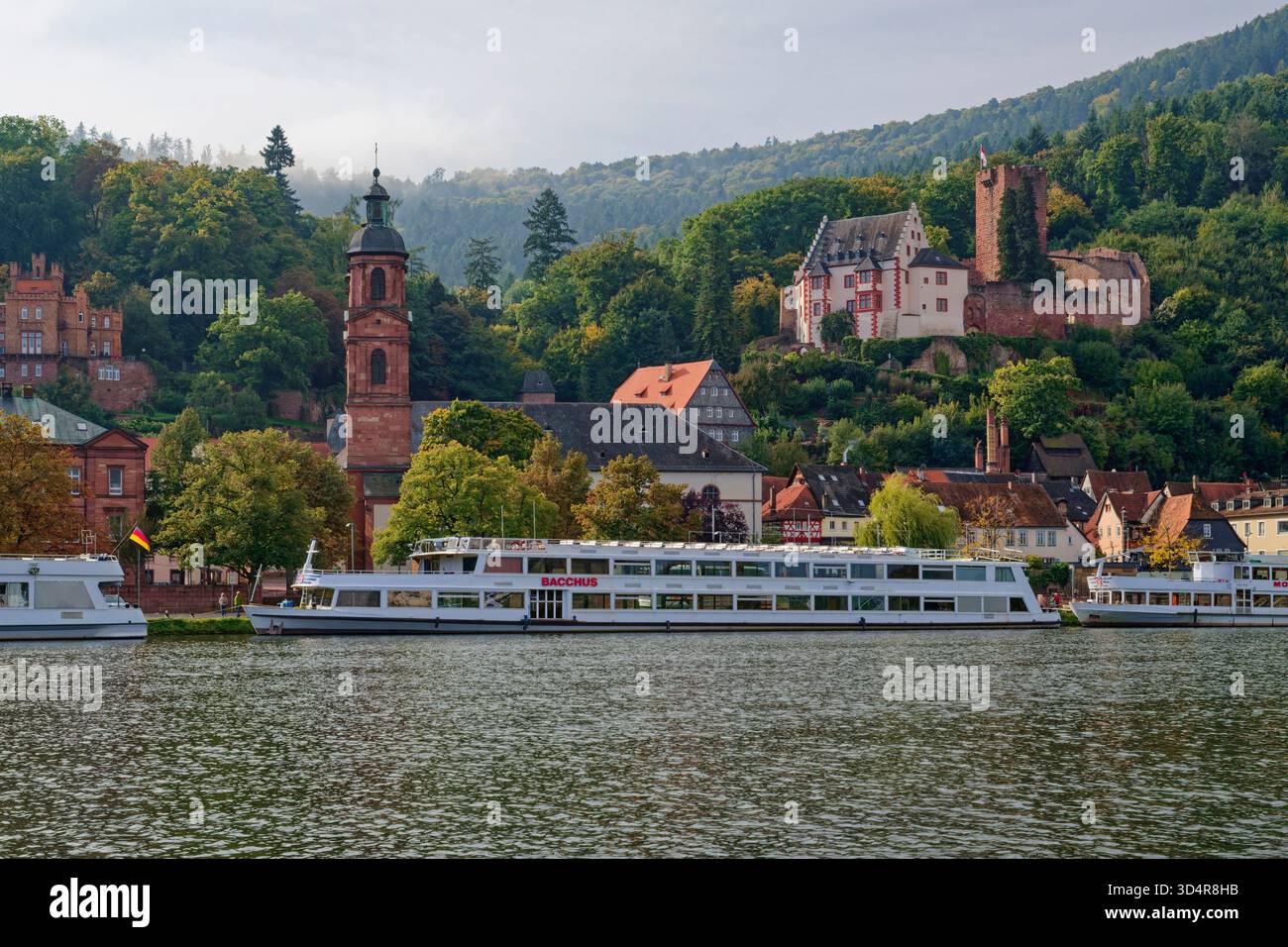 Miltenberg am Main in Unterfranken, Altstadt mit katholischer Pfarrkirche St. Jakobus und Mildenburg, Nebel über der Stadt, Bayern, Deutschland Stockfoto