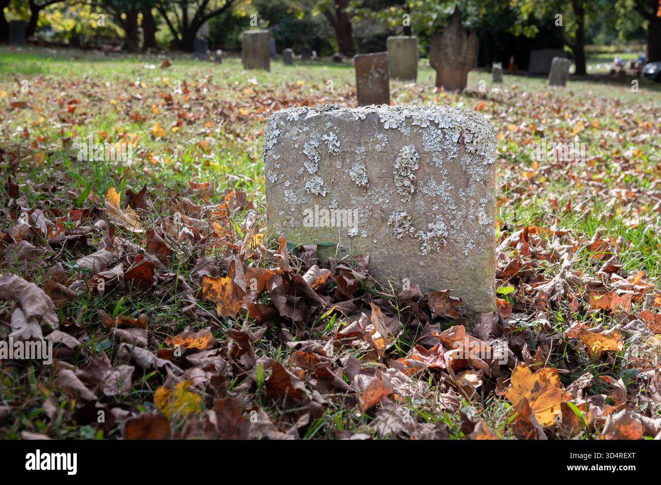 Ein alter Grabstein mit Flechten bedeckt, umgeben von Herbstlaub, Old City Cemetery, Lynchburg, Virginia Stockfoto