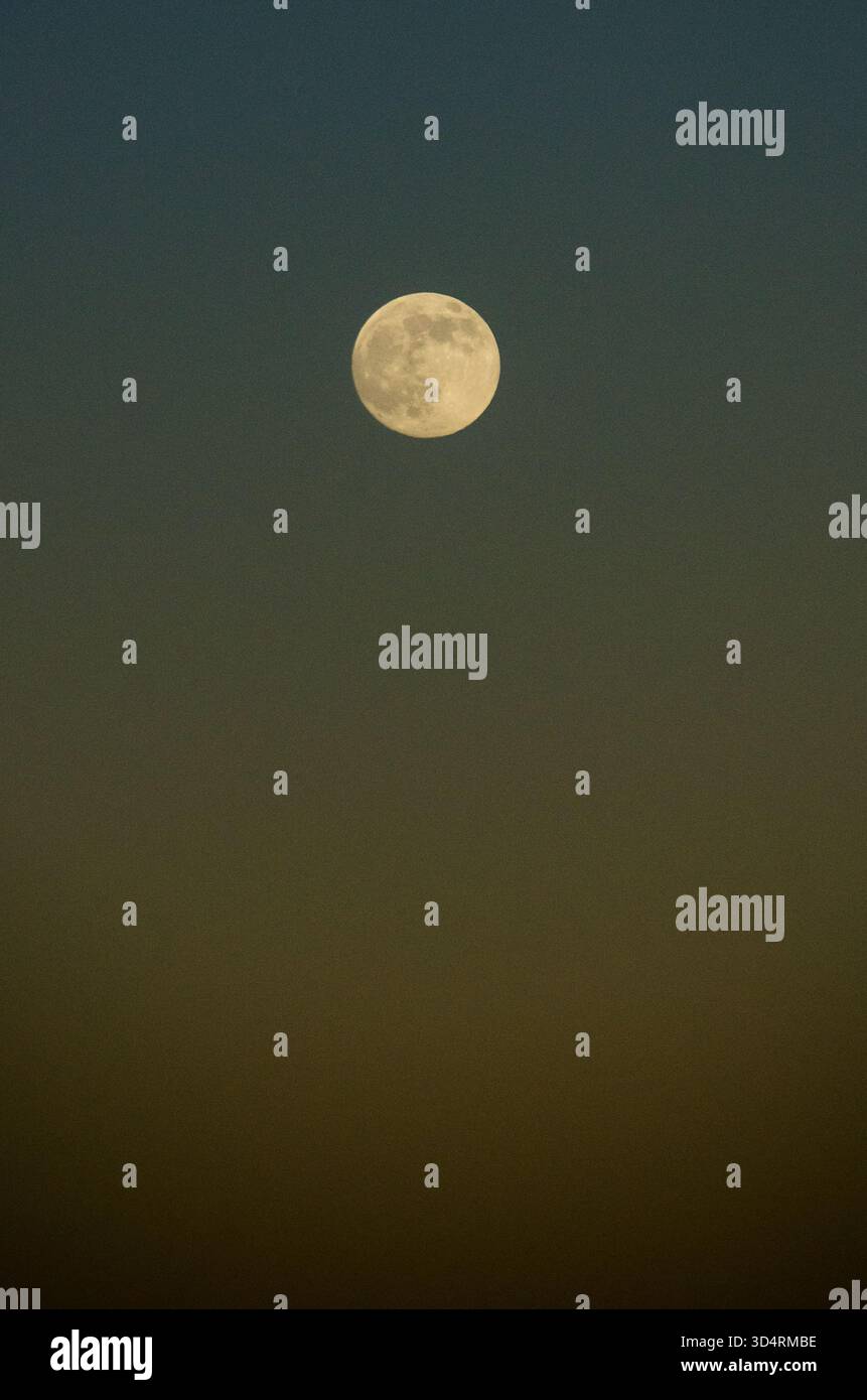 Der Vollmond steigt auf, wenn die Sonne über Hilton Head Island in South Carolina in den Vereinigten Staaten untergeht. Stockfoto