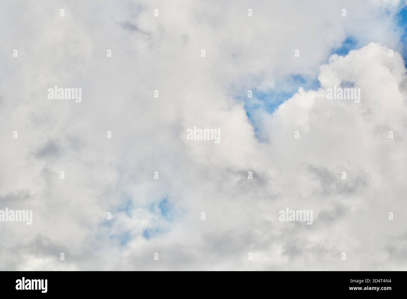 Eine detaillierte Nahaufnahme der dichten, hoch aufragenden Cumulonimbus-Wolken, die verschiedene weiß- und Grautöne zeigen, was auf schweres Wetter und dramatische atmos hindeutet Stockfoto