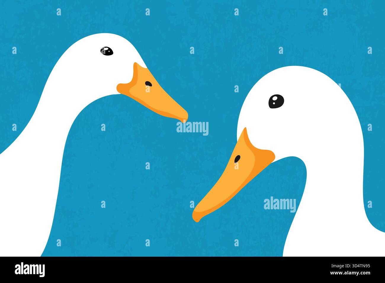 Zwei süße, weiße, blickende Enten, die in die Kamera schauen. Neugierige Entengesichter aus nächster Nähe. Vektorabbildung Stock Vektor