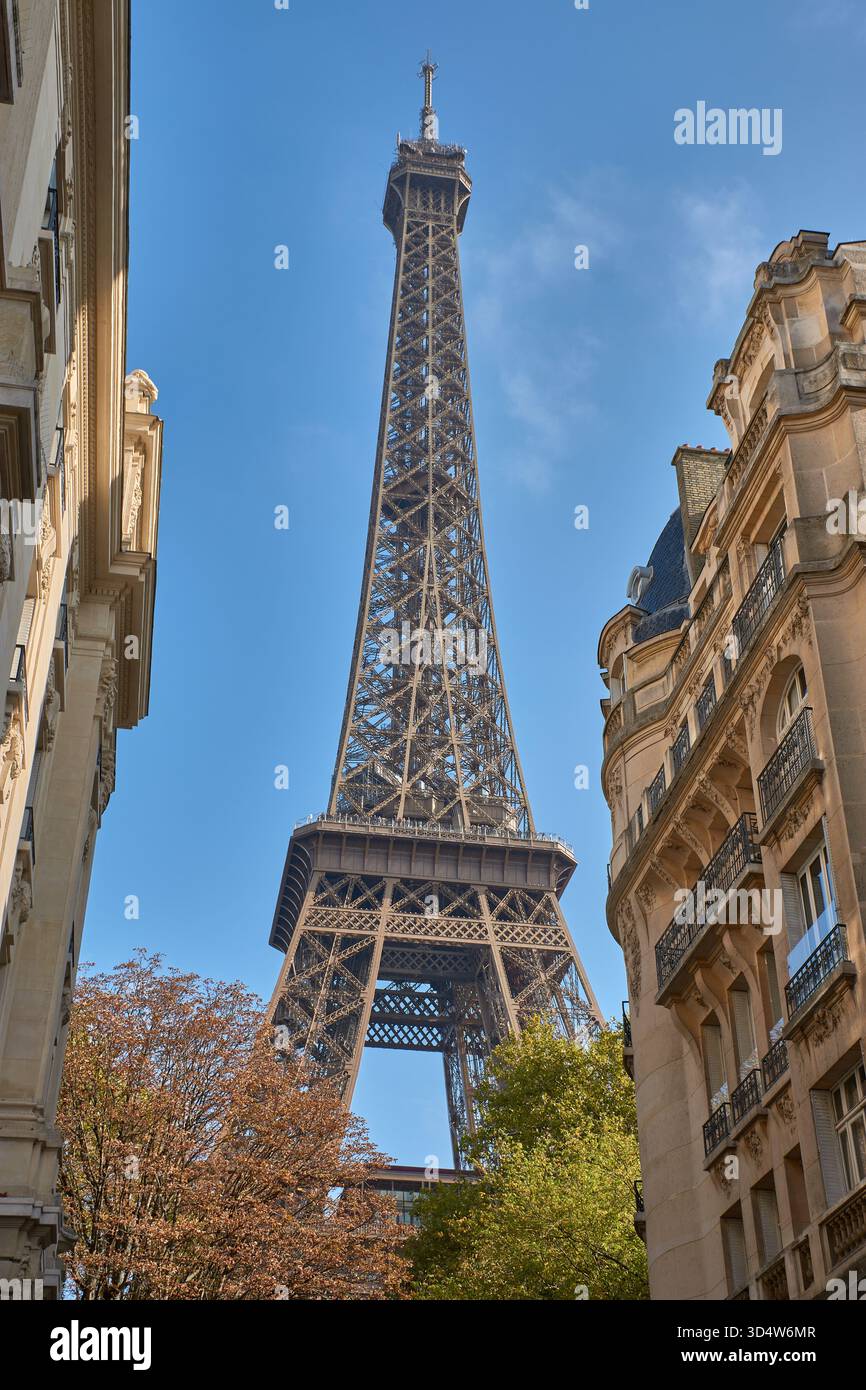 Der Eiffelturm erhebt sich inmitten klassischer Pariser Gebäude, die von einer engen Straße mit Herbstbäumen und einem tiefblauen Himmel erfasst wurden. Seine metallische Struktur Stockfoto