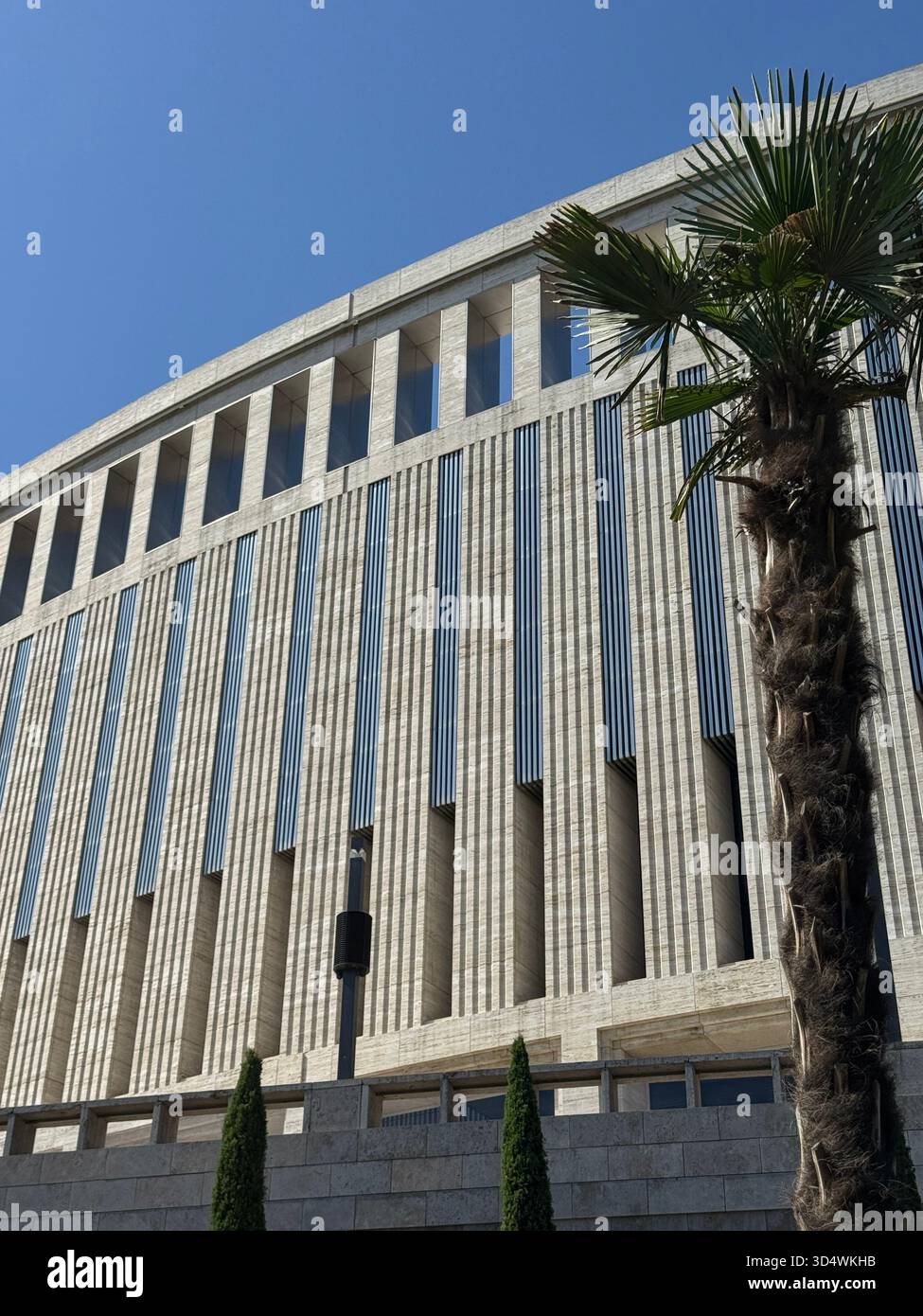 N. Shishkina - Smartphone-aufgenommenes Stockfoto