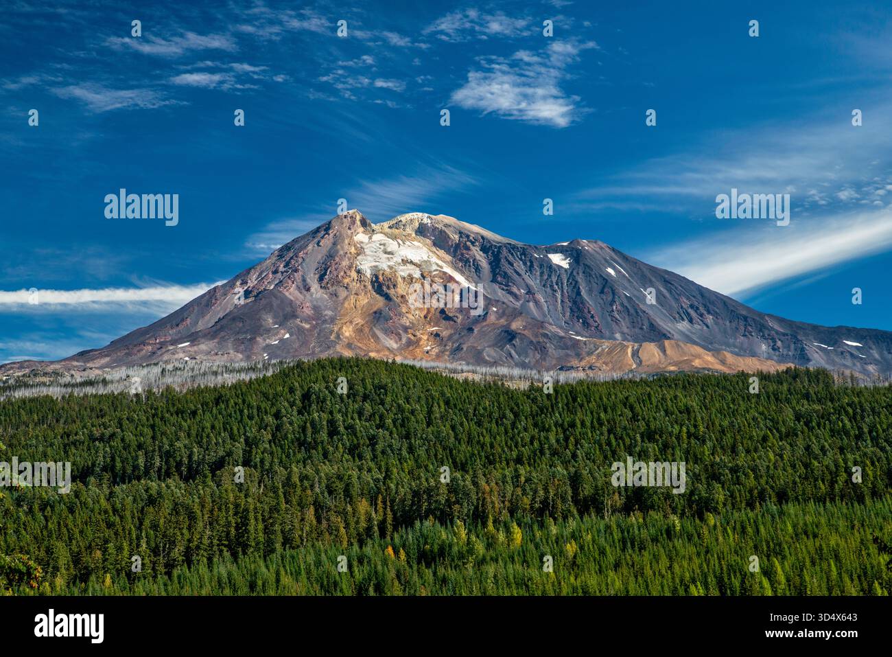 Mount Adams Vulkan, Blick von der NF-23 Road, Cascade Range, Gifford Pinchot National Forest, in der Nähe der Stadt Trout Lake im US-Bundesstaat Washington Stockfoto