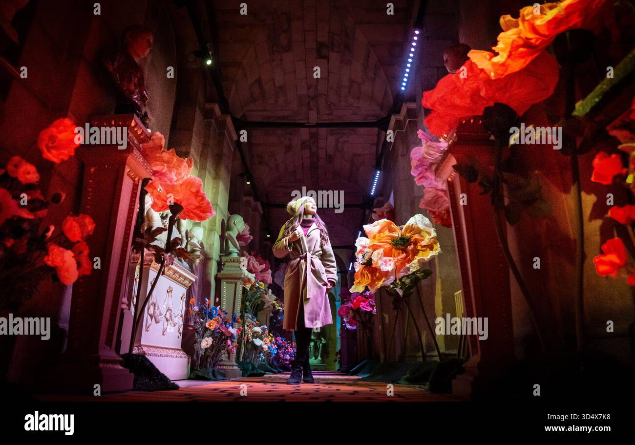 Rose Skehan während eines Fotorufs zu Weihnachten im Schloss Howard mit dem wunderbaren Zauberer von Oz, im Schloss Howard in Henderskelfe bei York. Bilddatum: Mittwoch, 12. November 2025. Stockfoto