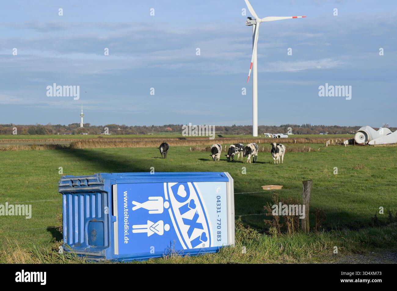 DEUTSCHLAND, mobiles Kunststofftoilettenhaus, Milchkühe und Windenergie, Energiewende / DEUTSCHLAND, Schleswig-Holstein, Reußenköge, Sönke-Nissen-Koog, Repowering, kleine Windkraftanlagen werden durch leistungsstärkere Anlagen ersetzt, alte Rotorblätter einer kleineren Windturbine, vom Wind umgekipptes Dixi Klo Stockfoto