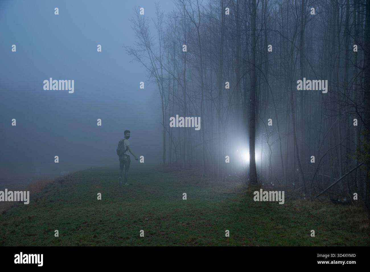 Mann, der allein im Wald aufwacht, mit strahlendem Licht über die Schulter schaut, Pennsylvania USA Stockfoto
