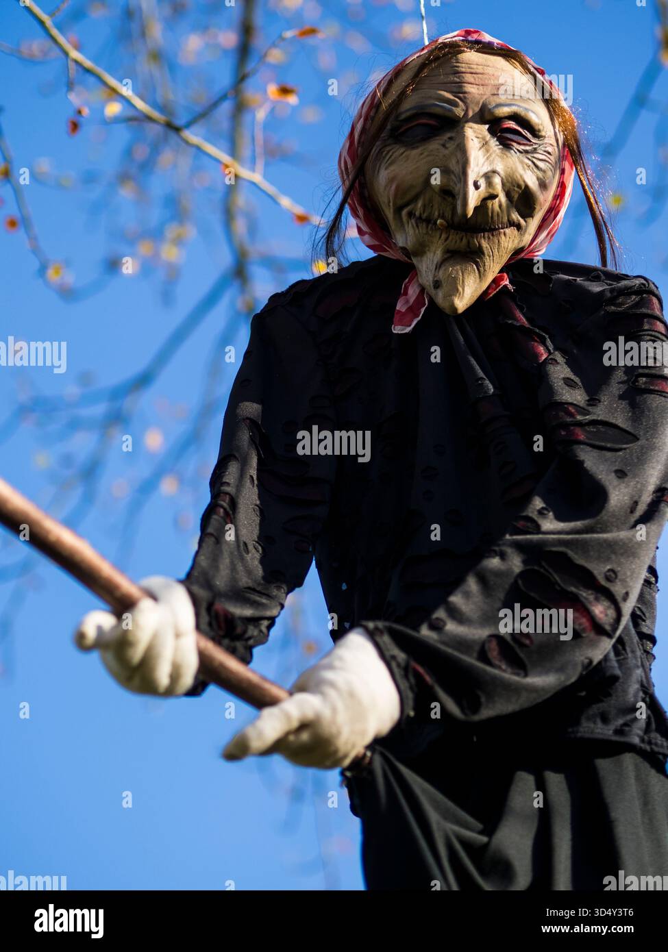 Hexenbesen, Fliegen, Caversham Court, Caversham, Reading, Berkshire, England, Großbritannien, GB. Stockfoto