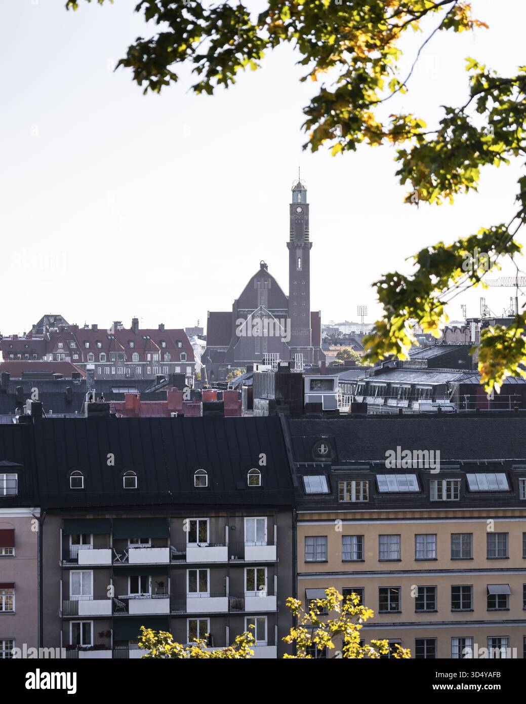 Blick auf Dächer und Fassaden, eingerahmt von grünen Ästen, Stockholm, Stockholmer County, Schweden. Stockfoto