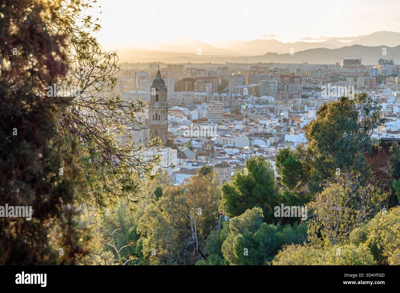 Aus der Vogelperspektive auf die Altstadt von Malaga, Spanien, vom Berg Gibralfaro Stockfoto