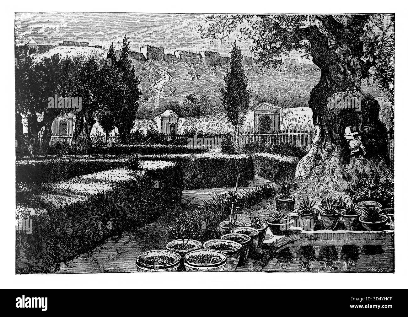 Illustration des Gartens von Getsemani, wo Jesus Christus vor seiner Kreuzigung betete (Neues Testament) aus der Ausgabe der Schönheit von 1890 Stockfoto
