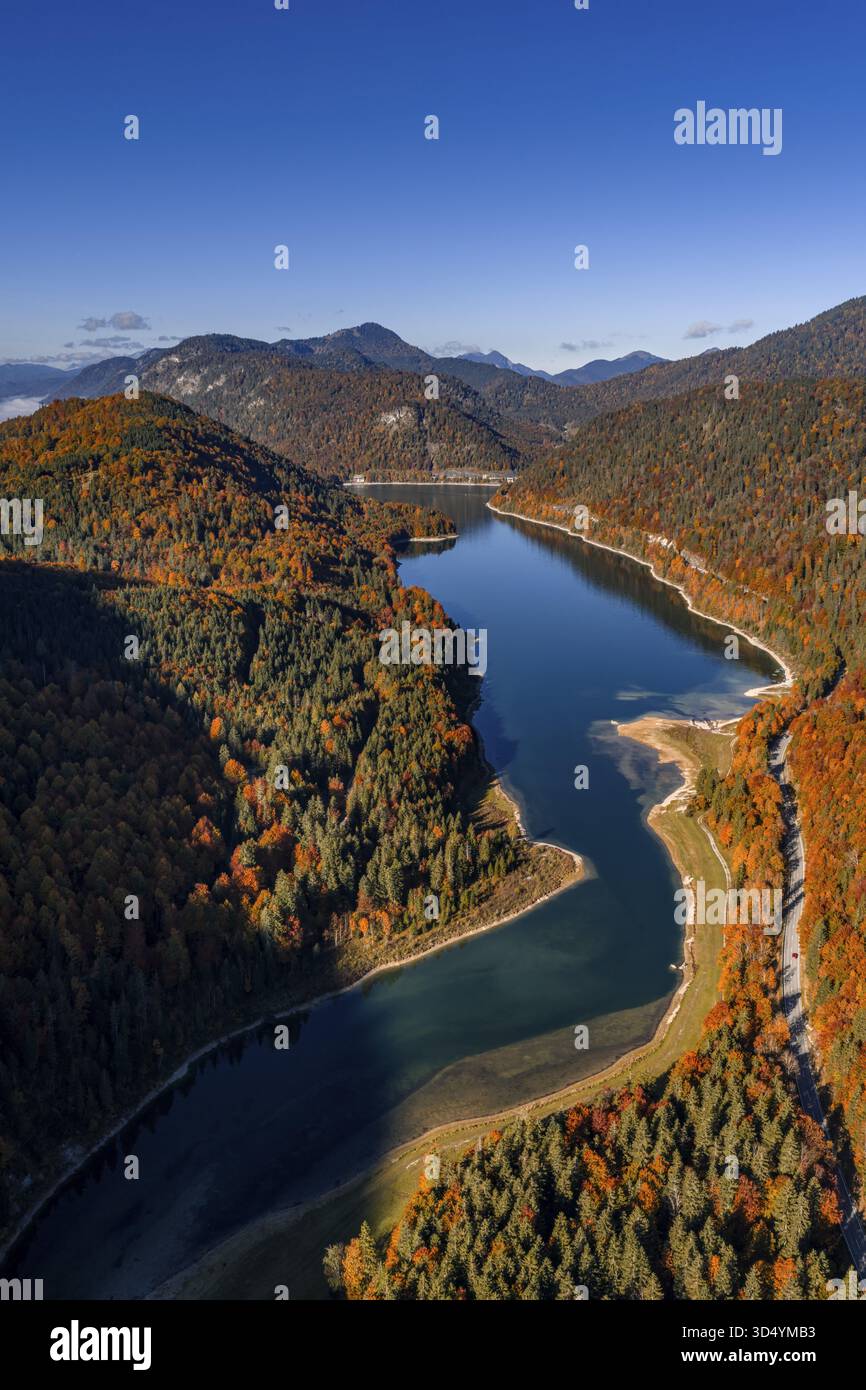 Bergsee, Berge, sonnig, Morgenlicht, Herbst, Herbstfarbe, Wald, Luftansicht, Sylvensteinsee, Oberbayern, Bayern, Deutschland Stockfoto