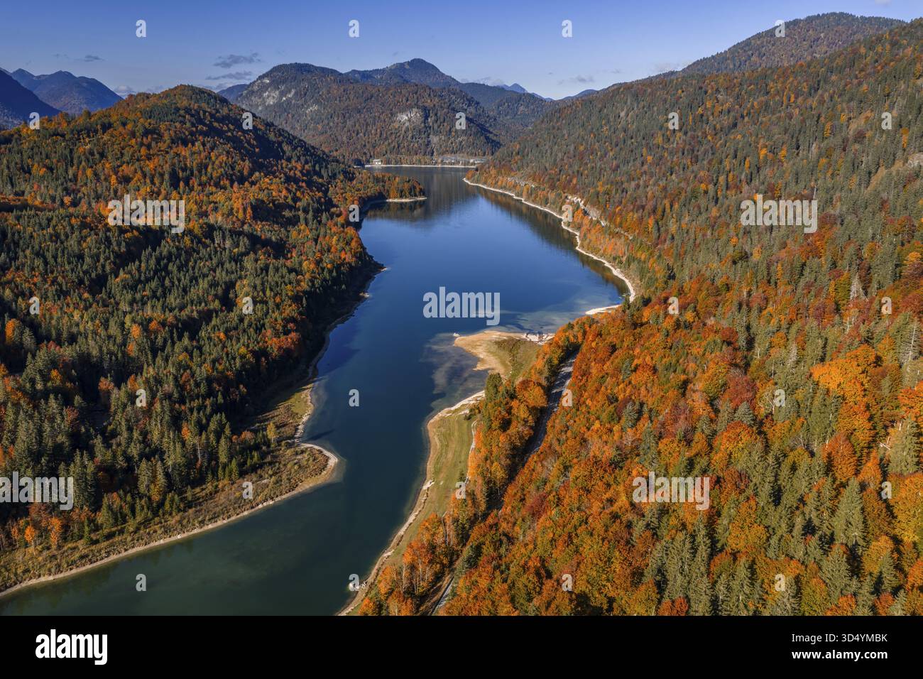 Bergsee, Berge, sonnig, Morgenlicht, Herbst, Herbstfarbe, Wald, Luftansicht, Sylvensteinsee, Oberbayern, Bayern, Deutschland Stockfoto