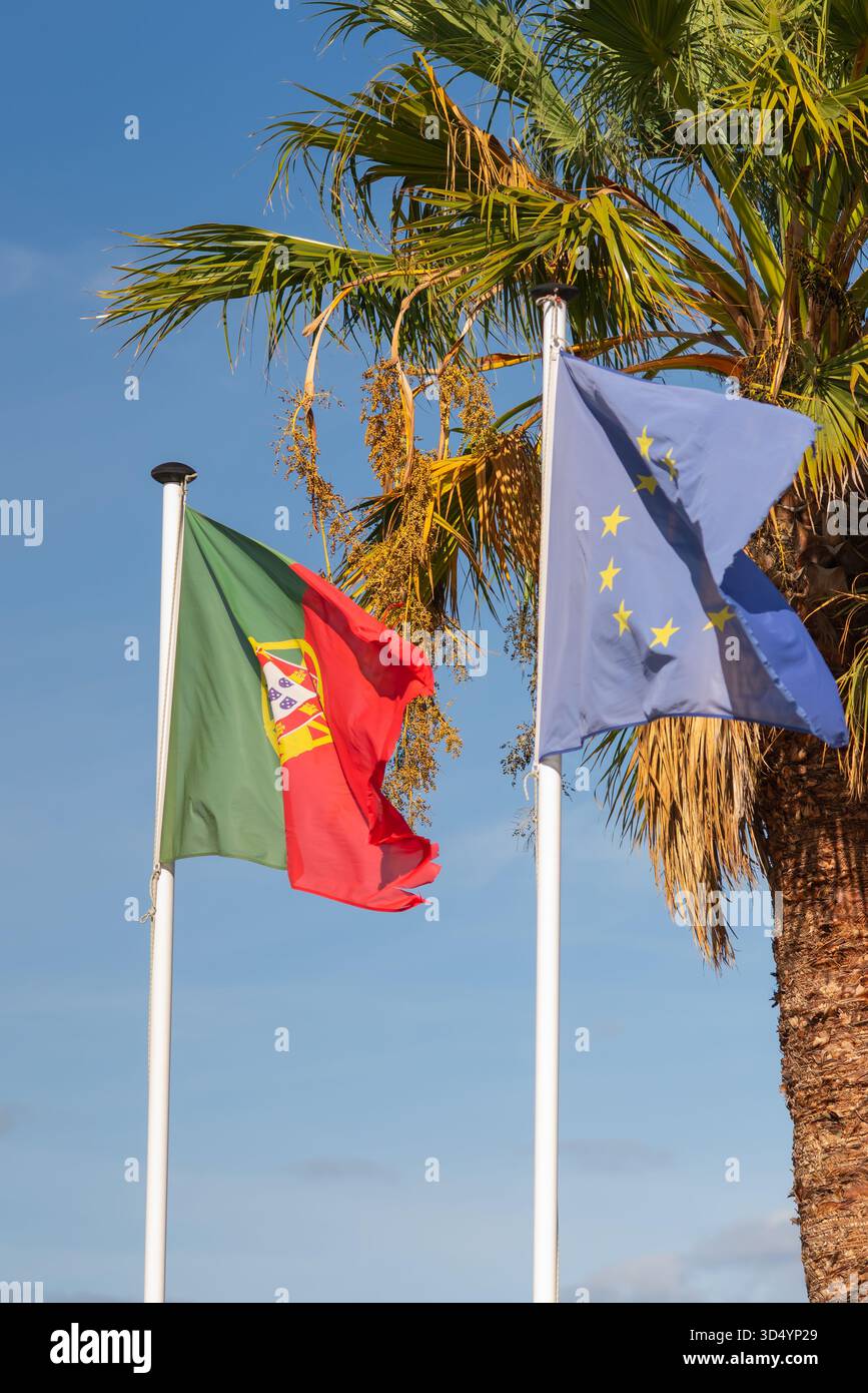 Die Flaggen Portugals und der Europäischen Union flattern Seite an Seite vor einer Palme gegen einen blauen Himmel. Stockfoto