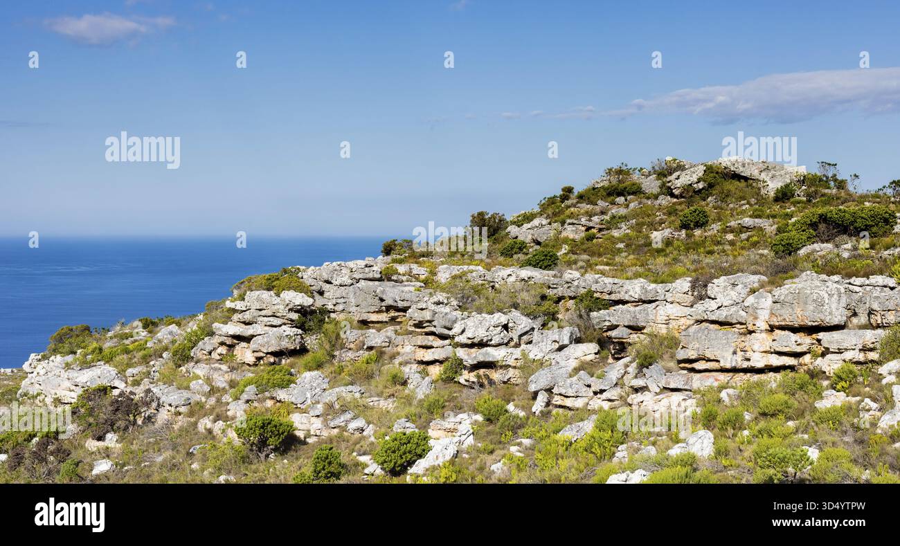 Küstenberglandschaft mit Fynbos Flora in Kapstadt Südafrika, Kapstadt, Südafrika Stockfoto