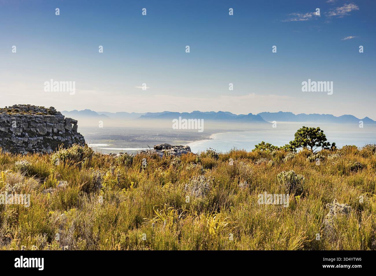 Küstenberglandschaft mit Fynbos Flora in Kapstadt Südafrika, Kapstadt, Südafrika Stockfoto