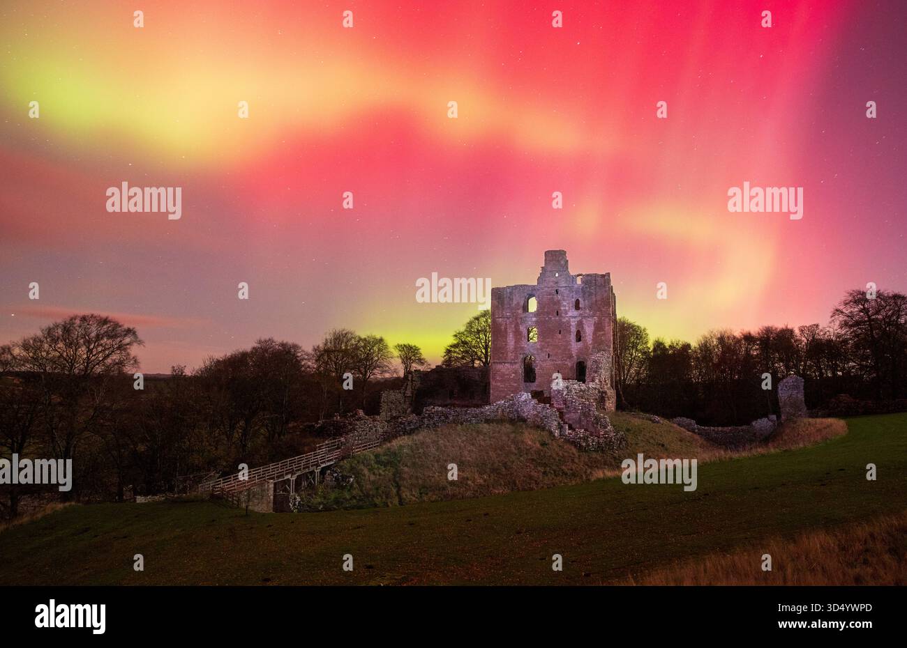 Die Nordlichter (Aurora Borealis) über den Ruinen von Norham Castle Stockfoto