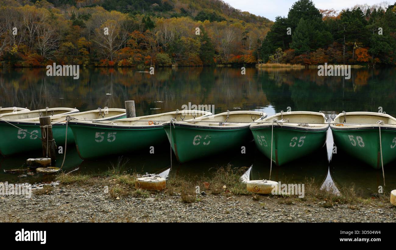 Ruderboote standen an einem ruhigen Herbstufer an Stockfoto