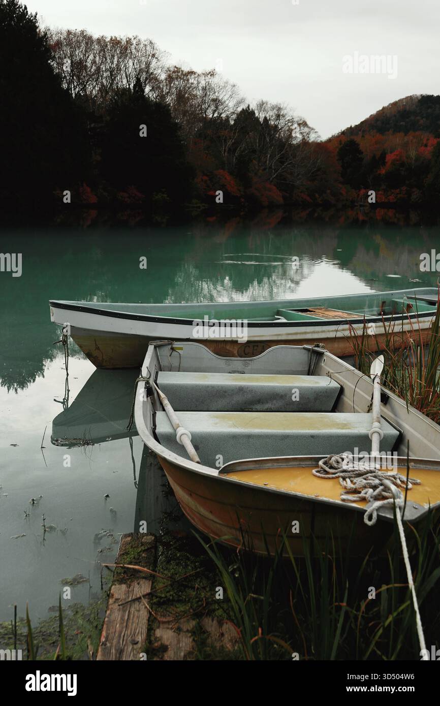 Ruderboote standen an einem ruhigen Herbstufer an Stockfoto