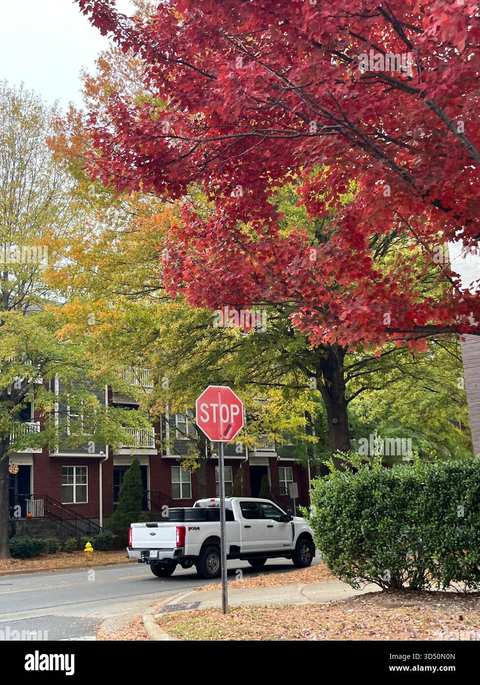Straßengesang und farbenfrohe Herbstbäume im Park - Smartphone-aufgenommenes Stockfoto