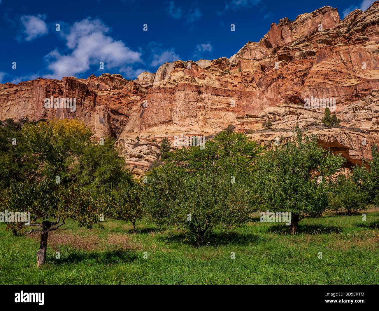 Krueger Orchards, Capitol Reef National Park, Torrey, Utah. Stockfoto