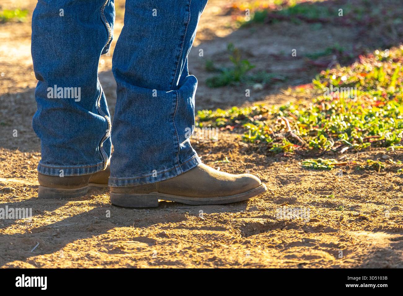 Westernstiefel, Stonehenge Rodeo, Queensland, Australien Stockfoto