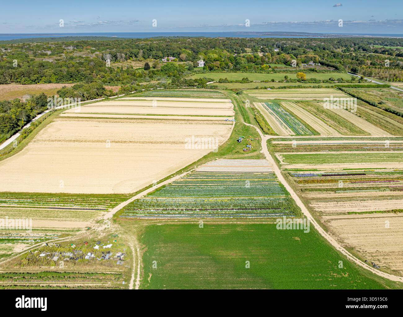Luftlandschaft von Ackerland in Amagansett Stockfoto