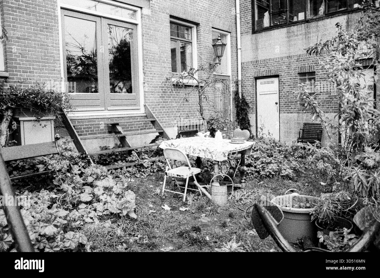 Privater Garten. Privater Wohngarten und Vorhof auf KSNM Island, Amsterdam, Niederlande. Aufgenommen mit analogem Schwarzweißfilm, 2024. Amsterdam Levantkade / KNSM Eiland Noord-Holland Nederland Copyright: XGuidoxKoppesxPhotox Stockfoto