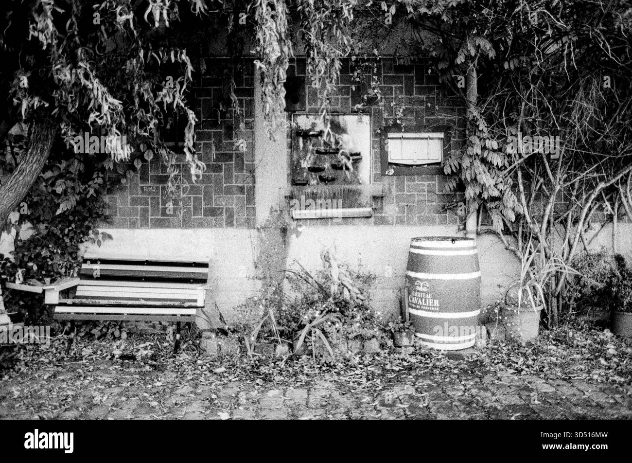 Privater Garten. Privater Wohngarten und Vorhof auf KSNM Island, Amsterdam, Niederlande. Aufgenommen mit analogem Schwarzweißfilm, 2024. Amsterdam Levantkade / KNSM Eiland Noord-Holland Nederland Copyright: XGuidoxKoppesxPhotox Stockfoto