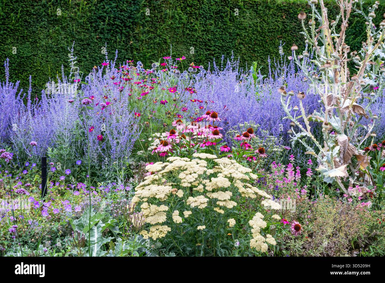 Sommergartenrand Stockfoto