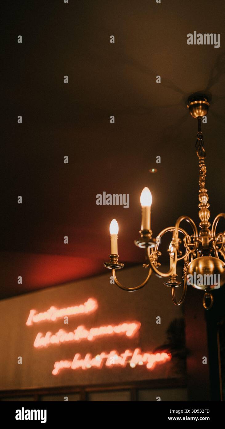 Ein Neonschild mit der Aufschrift „du bist nicht der Einzige“ ist in einem schwach beleuchteten Raum beleuchtet Stockfoto