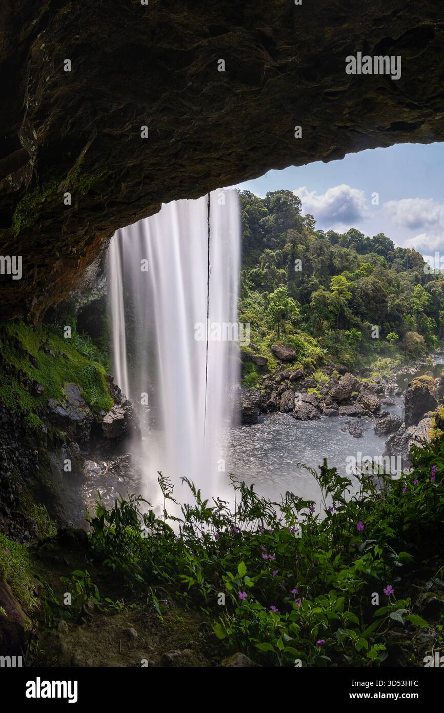 18. März 2025: Der majestätische K50-Wasserfall befindet sich im Naturschutzgebiet Kon Chu Rang, Bezirk K'Bang, nördliche Provinz Gia Lai Stockfoto