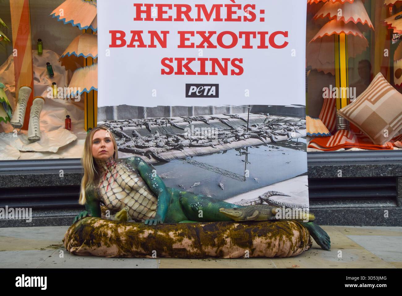 London, Großbritannien. November 2025. Ein PETA-Aktivist mit Krokodilfarbe liegt in einem „dreckigen“ Pool außerhalb von Hermes in der New Bond Street, während die Tierschutzgruppe gegen die Verwendung von Krokodilen und anderen exotischen Häuten durch die Luxusmarke protestiert. Quelle: Vuk Valcic/Alamy Live News Stockfoto