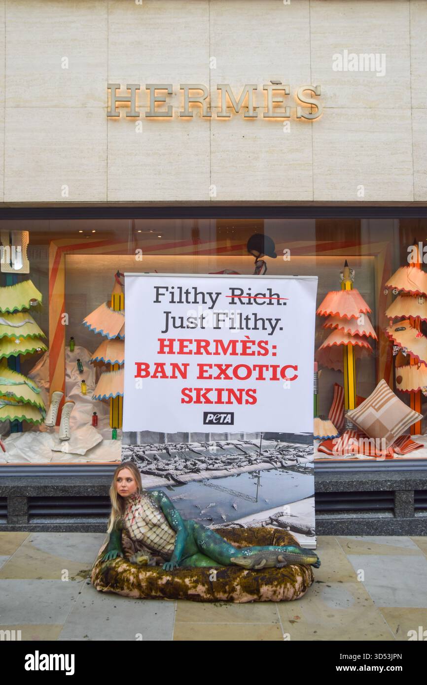 London, Großbritannien. November 2025. Ein PETA-Aktivist mit Krokodilfarbe liegt in einem „dreckigen“ Pool außerhalb von Hermes in der New Bond Street, während die Tierschutzgruppe gegen die Verwendung von Krokodilen und anderen exotischen Häuten durch die Luxusmarke protestiert. Quelle: Vuk Valcic/Alamy Live News Stockfoto