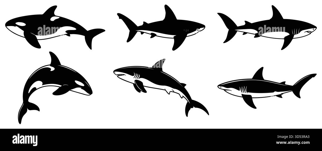 Haifischsilhouetten, Ozeanfischvektor, Meerestiere Ikonen, Unterwasserräuber Set, Meeresleben Illustration, schwarz-weiß-Design Stock Vektor