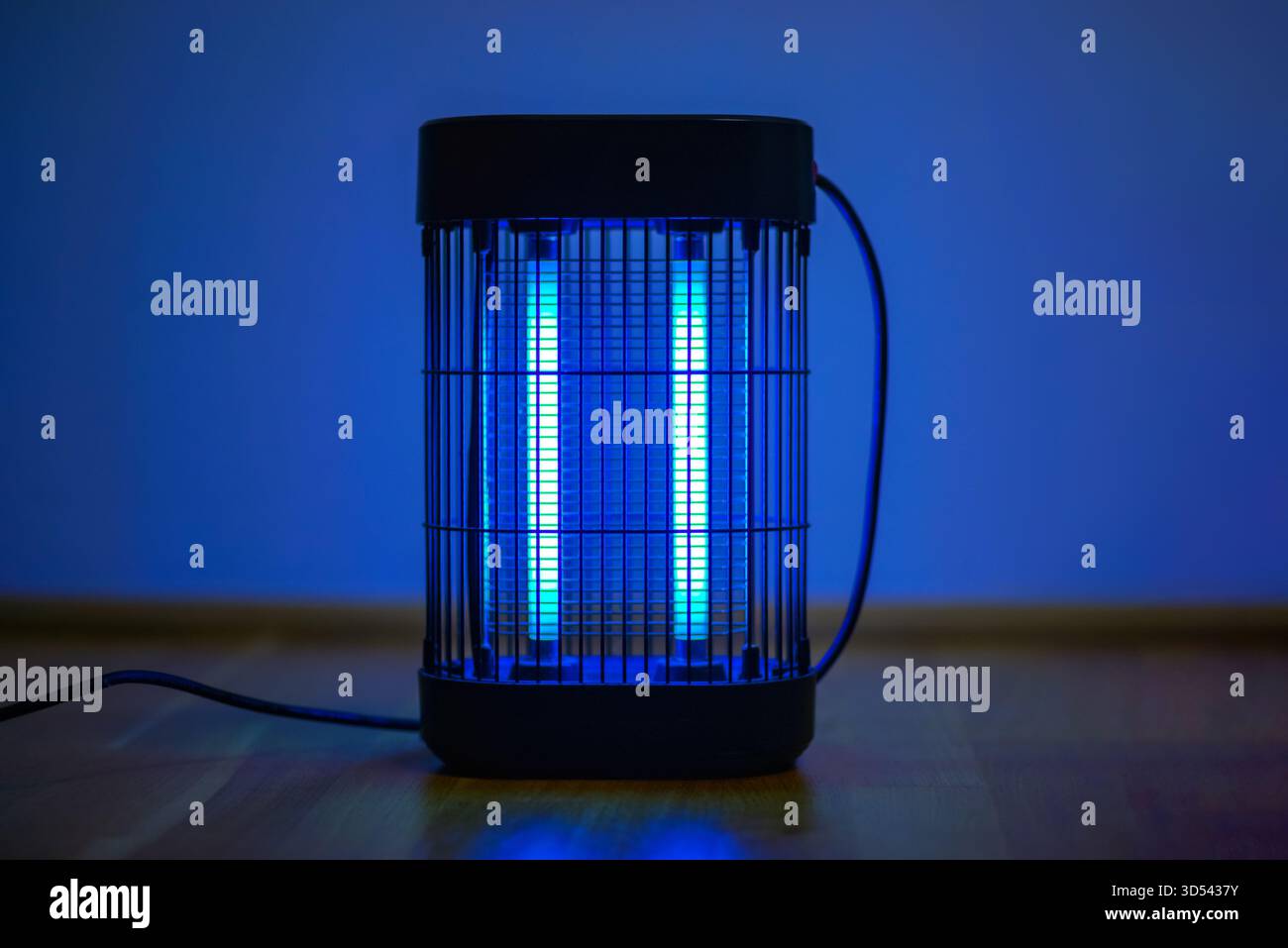 Elektrische Insektenvernichter-Lampe, die mit blauem UV-Licht leuchtet. Bugzapper-Gerät für Mückenbekämpfung, Schädlingsschutz und Haussicherheitskonzept. Stockfoto