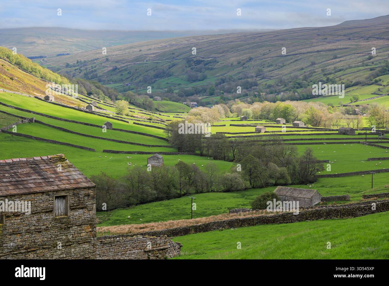 Steinscheunen in der atemberaubenden Landschaft von Upper Swaledale, North Yorkshire, England, Großbritannien Stockfoto