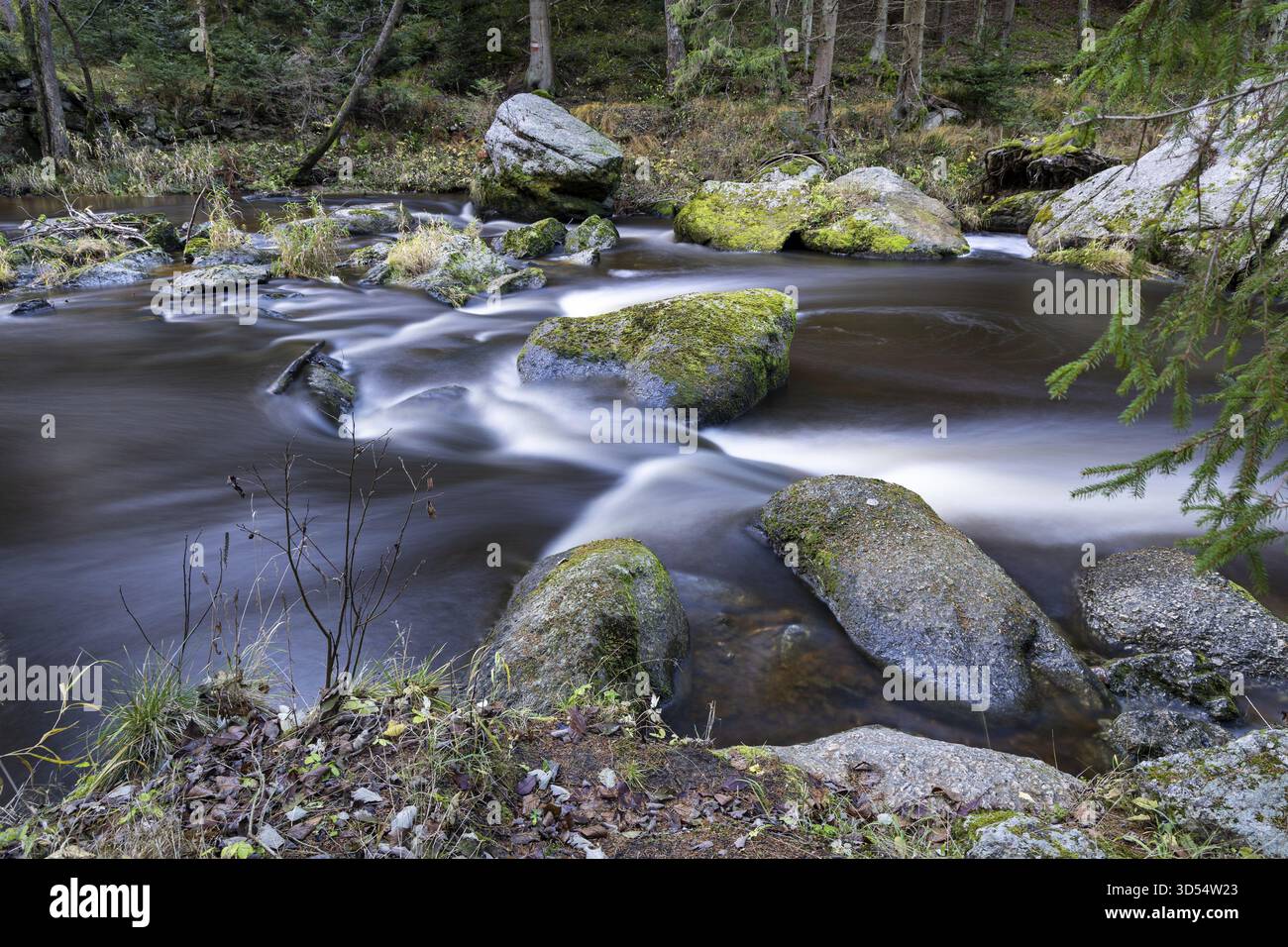 Sprudelndes Wasser fließt über Felsen in einem Waldgebiet, dem Hunterwasserweg Kamptal zwischen Zwettl und Roiten Waldviertel Niederösterreich Stockfoto