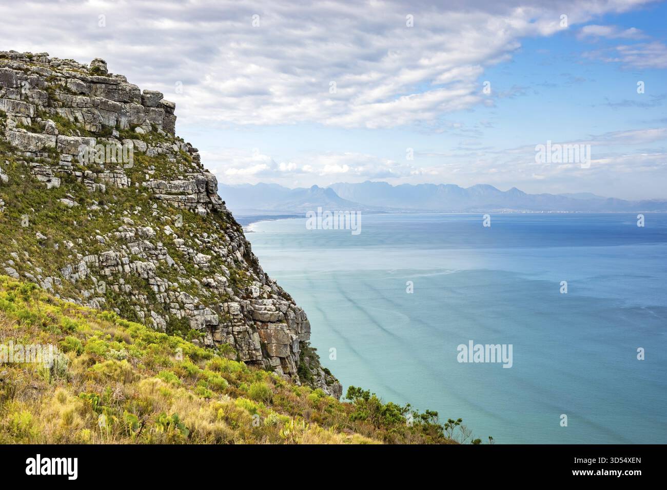 Küstenberglandschaft mit Fynbos Flora in Kapstadt Südafrika, Kapstadt, Südafrika Stockfoto