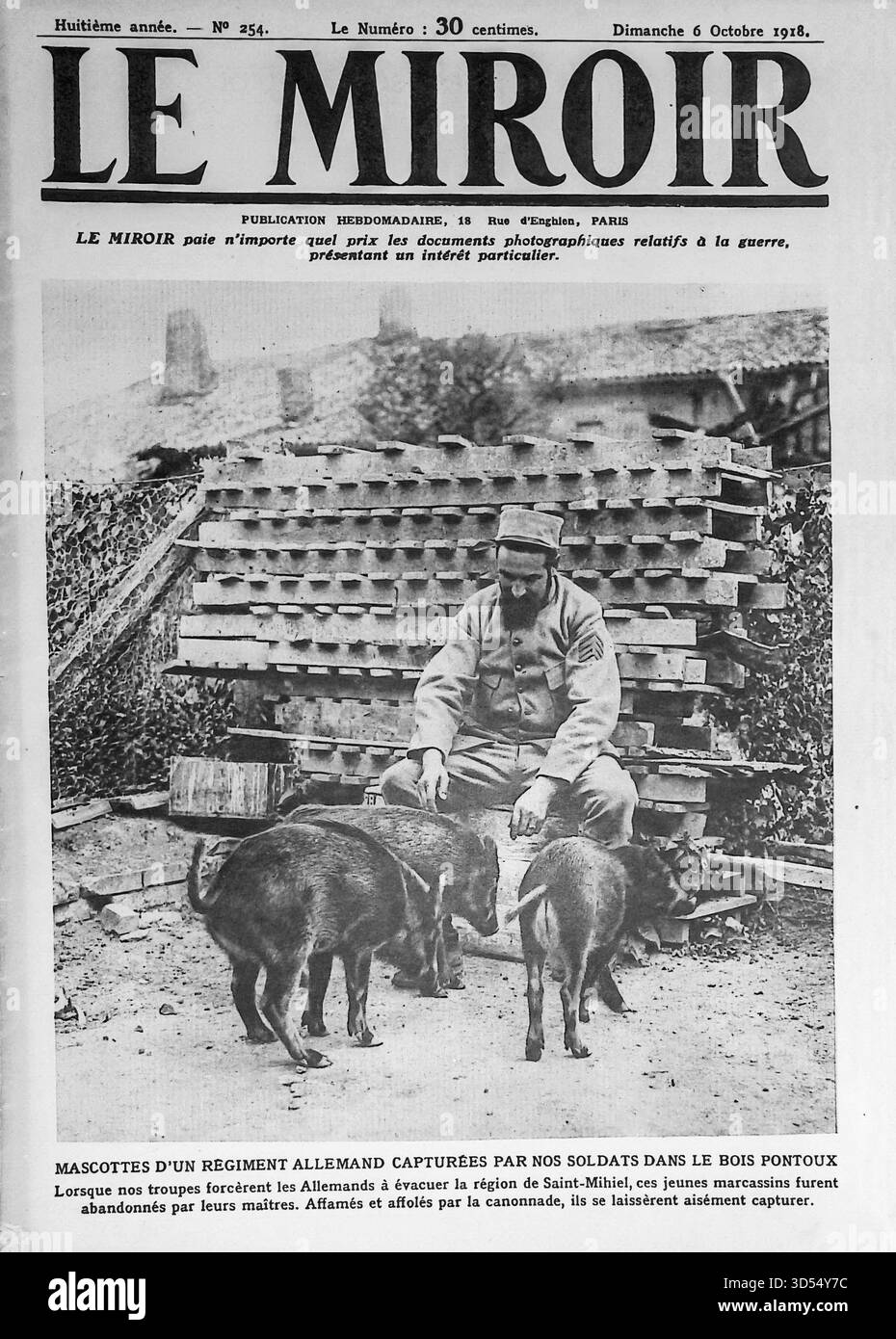 Le Miroir, 6. Oktober 1918. Ein französischer Soldat sitzt neben mehreren gefangenen deutschen Regimentsmaskottchen – jungen Wildschweinen –, die im Bois Pontoux gefunden wurden, nachdem sich deutsche Truppen aus dem Saint-Mihiel-Sektor zurückzogen. Verlassen und erschreckt durch Beschuss, konnten die Tiere leicht aufgenommen werden. Die Szene spiegelt die alltäglichen Kriegsrealitäten entlang der Westfront in den letzten Wochen des Ersten Weltkriegs wider. ( Stockfoto