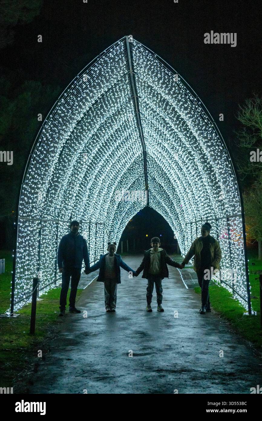 13/11/2025. Besucher von London, Großbritannien, genießen die Weihnachtsbeleuchtung, die als Teil des ursprünglichen festlichen Weges durch die herrliche Landschaft der Kew Royal Botanical Gardens nach der Dunkelheit gezeigt wird, und kehren zum dreizehnten Jahr mit einer Vielzahl von saisonalen Favoriten zusammen mit faszinierenden neuen Lichtinstallationen zurück. Acht Installationen geben ihr Debüt in Großbritannien. Kews natürliche Architektur ist beleuchtet, sodass Besucher die Natur aus einer neuen Perspektive erleben können Weihnachten in Kew ist ein Ausflug für Besucher jeden Alters, vom Freitag, den 14. November 2025 bis Sonntag, den 4. Januar 2026. Foto: Ray Tang Stockfoto