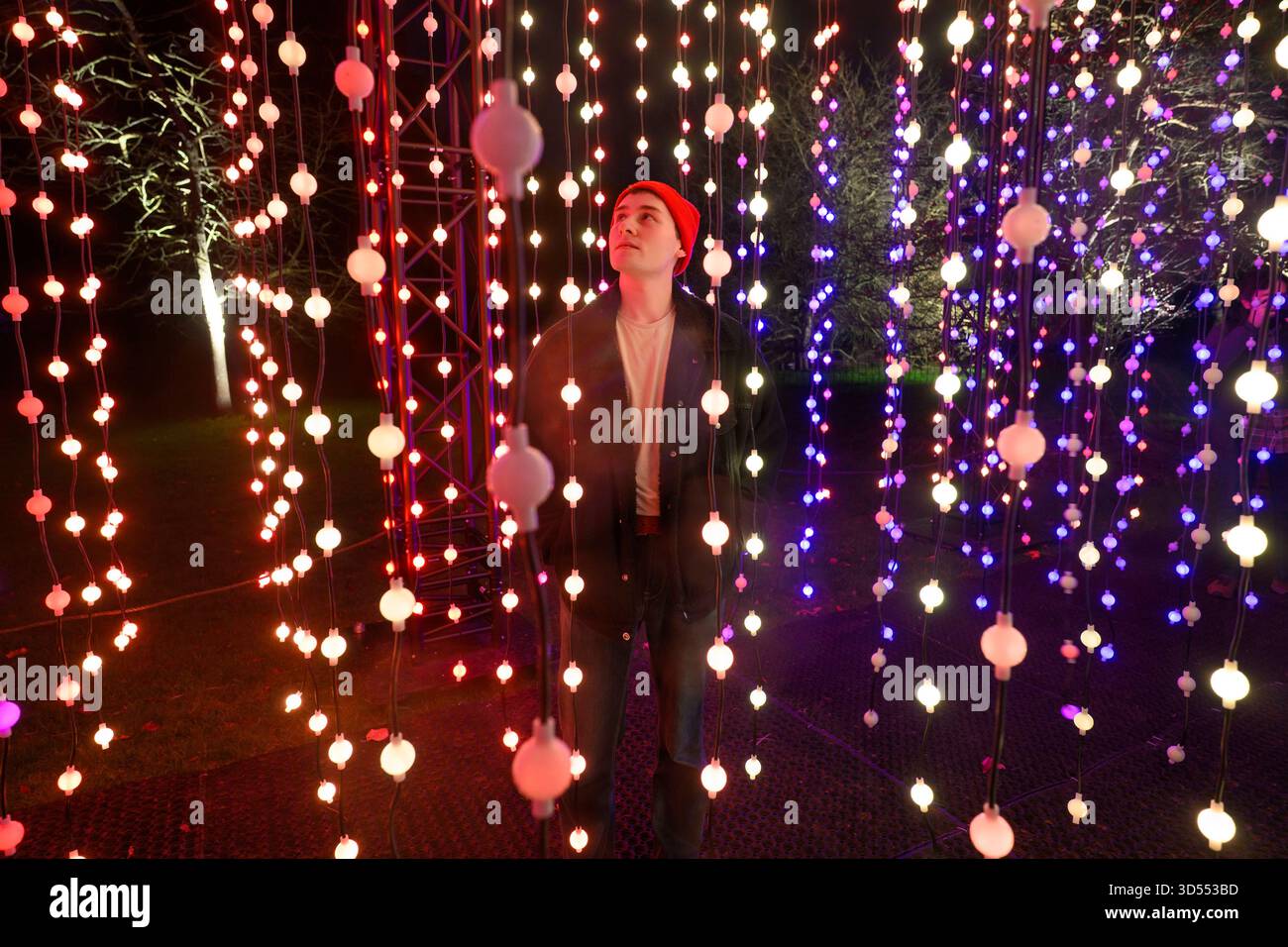 13/11/2025. Besucher von London, Großbritannien, genießen die Weihnachtsbeleuchtung, die als Teil des ursprünglichen festlichen Weges durch die herrliche Landschaft der Kew Royal Botanical Gardens nach der Dunkelheit gezeigt wird, und kehren zum dreizehnten Jahr mit einer Vielzahl von saisonalen Favoriten zusammen mit faszinierenden neuen Lichtinstallationen zurück. Acht Installationen geben ihr Debüt in Großbritannien. Kews natürliche Architektur ist beleuchtet, sodass Besucher die Natur aus einer neuen Perspektive erleben können Weihnachten in Kew ist ein Ausflug für Besucher jeden Alters, vom Freitag, den 14. November 2025 bis Sonntag, den 4. Januar 2026. Foto: Ray Tang Stockfoto