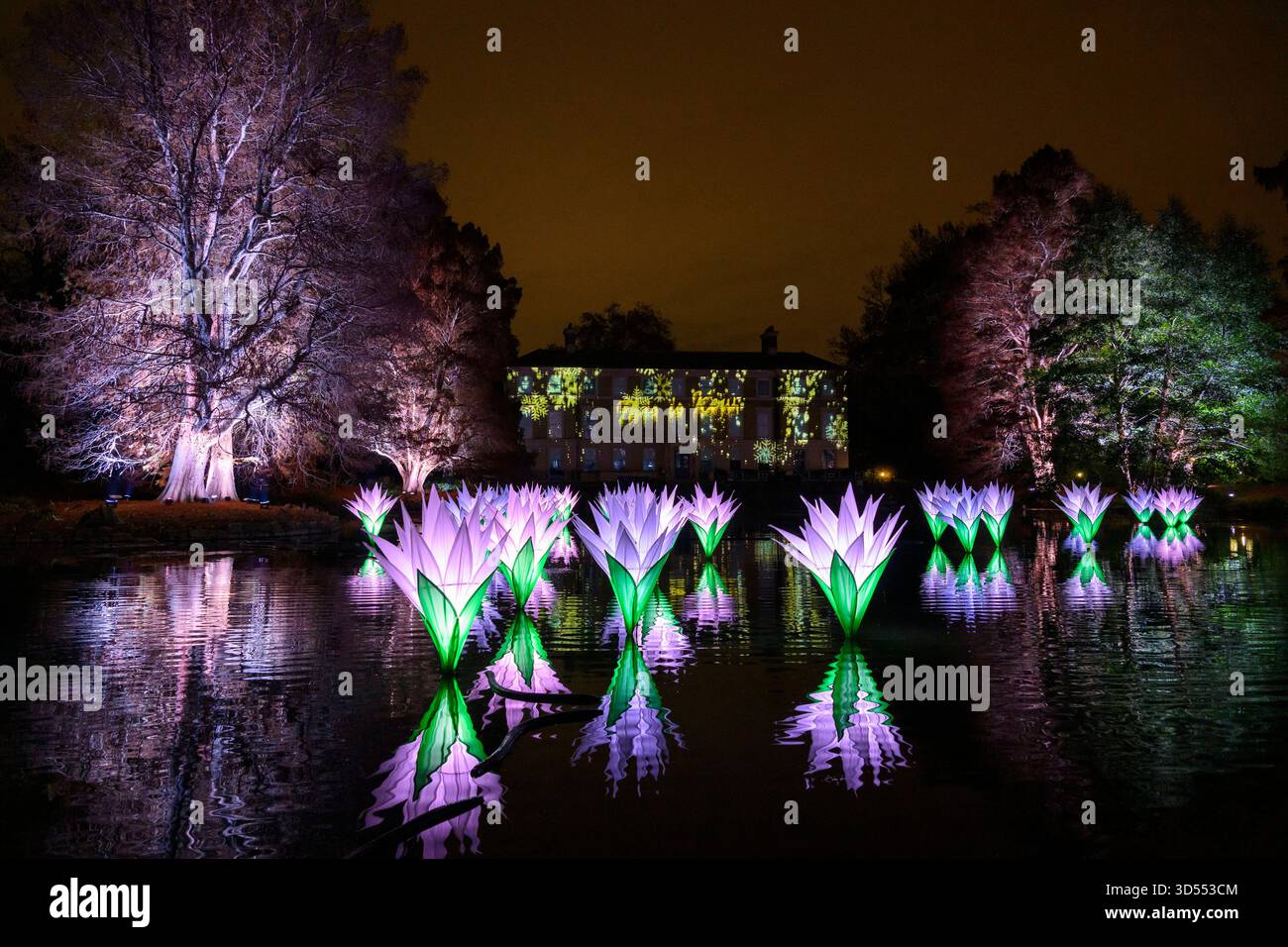 13/11/2025. London, Großbritannien das Weihnachtslicht zeigt als Teil des originalen festlichen Weges durch die prächtige Landschaft der Kew Royal Botanical Gardens nach der Dunkelheit und kehrt zum dreizehnten Jahr mit einer Vielzahl von saisonalen Favoriten und faszinierenden neuen Lichtinstallationen zurück. Acht Installationen geben ihr Debüt in Großbritannien. Kews natürliche Architektur ist beleuchtet, sodass Besucher die Natur aus einer neuen Perspektive erleben können Weihnachten in Kew ist ein Ausflug für Besucher jeden Alters, vom Freitag, den 14. November 2025 bis Sonntag, den 4. Januar 2026. Foto: Ray Tang Stockfoto