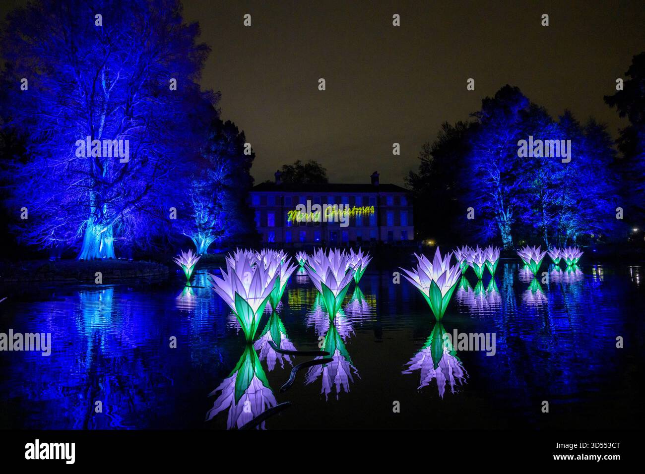 13/11/2025. London, Großbritannien das Weihnachtslicht zeigt als Teil des originalen festlichen Weges durch die prächtige Landschaft der Kew Royal Botanical Gardens nach der Dunkelheit und kehrt zum dreizehnten Jahr mit einer Vielzahl von saisonalen Favoriten und faszinierenden neuen Lichtinstallationen zurück. Acht Installationen geben ihr Debüt in Großbritannien. Kews natürliche Architektur ist beleuchtet, sodass Besucher die Natur aus einer neuen Perspektive erleben können Weihnachten in Kew ist ein Ausflug für Besucher jeden Alters, vom Freitag, den 14. November 2025 bis Sonntag, den 4. Januar 2026. Foto: Ray Tang Stockfoto