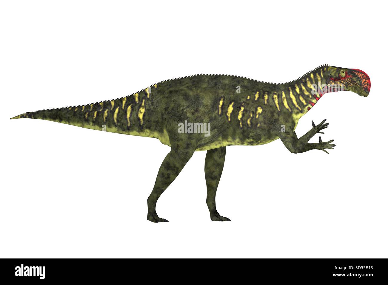 Iguanodont Altirhinus war ein Pflanzenfresser Dinosaurier aus der Kreidezeit der Mongolei. Stockfoto