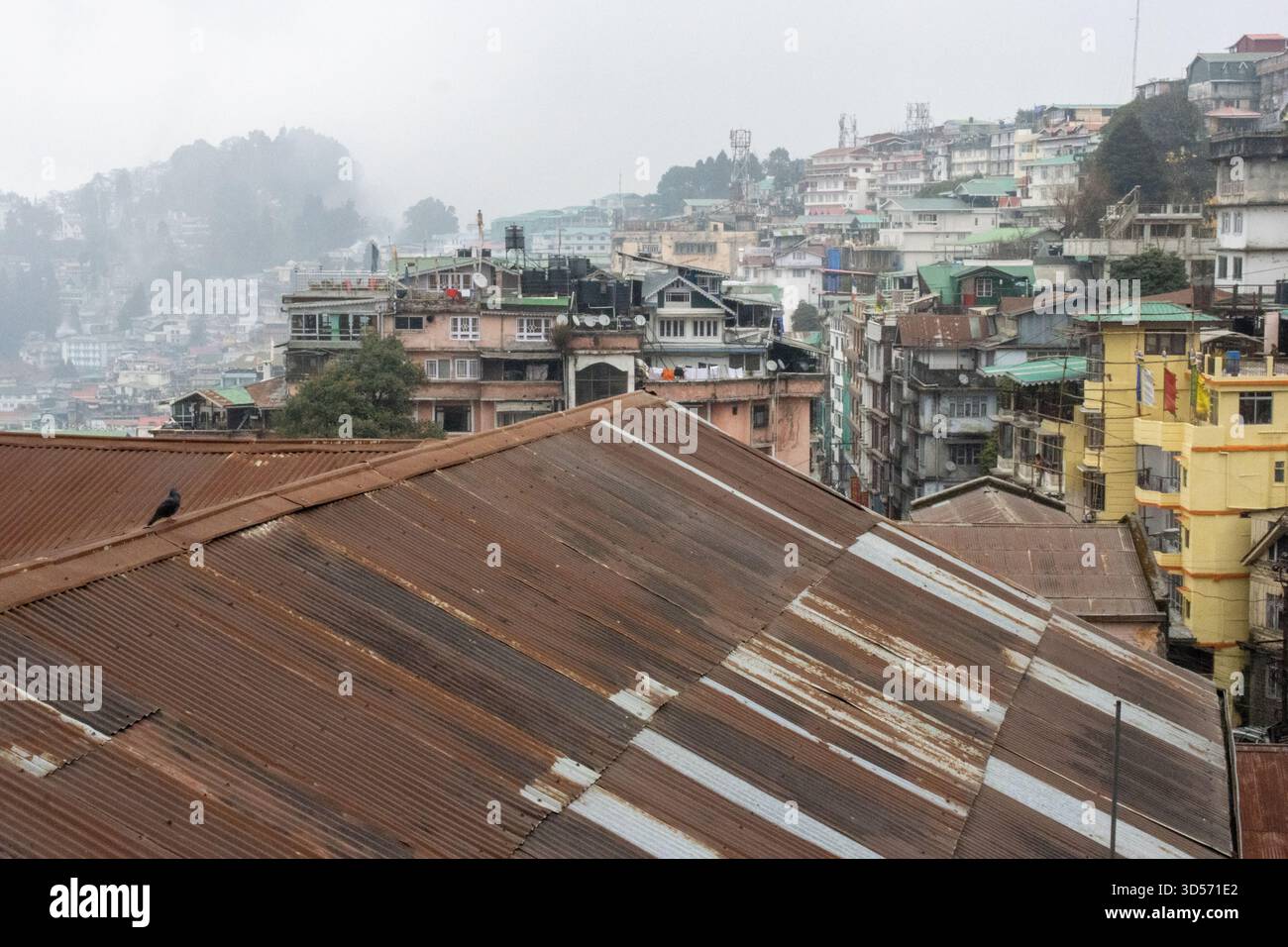 Rostiges Wellblech, typisch für Darjeeling Stockfoto